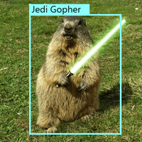 Jedi Gopher